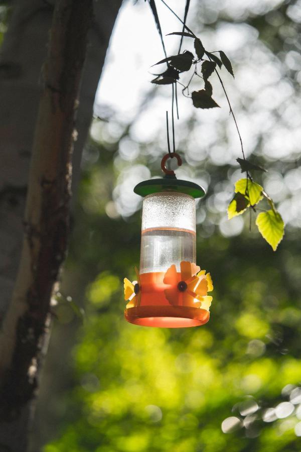 El Colibri Cabanas De La Naturaleza Trelew Eksteriør billede